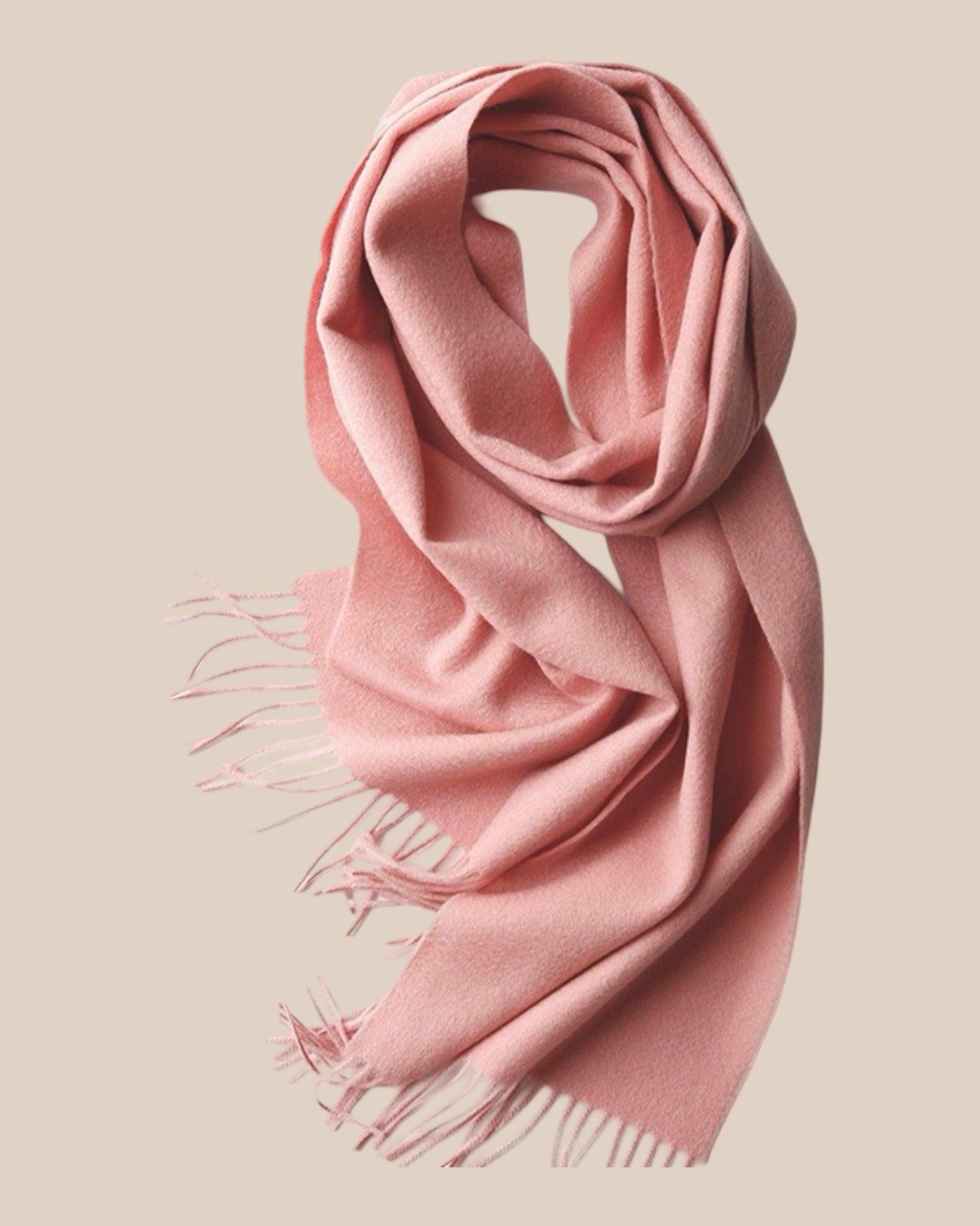 Sofia Cashmere Scarf Blush – Heirloom Cashmere