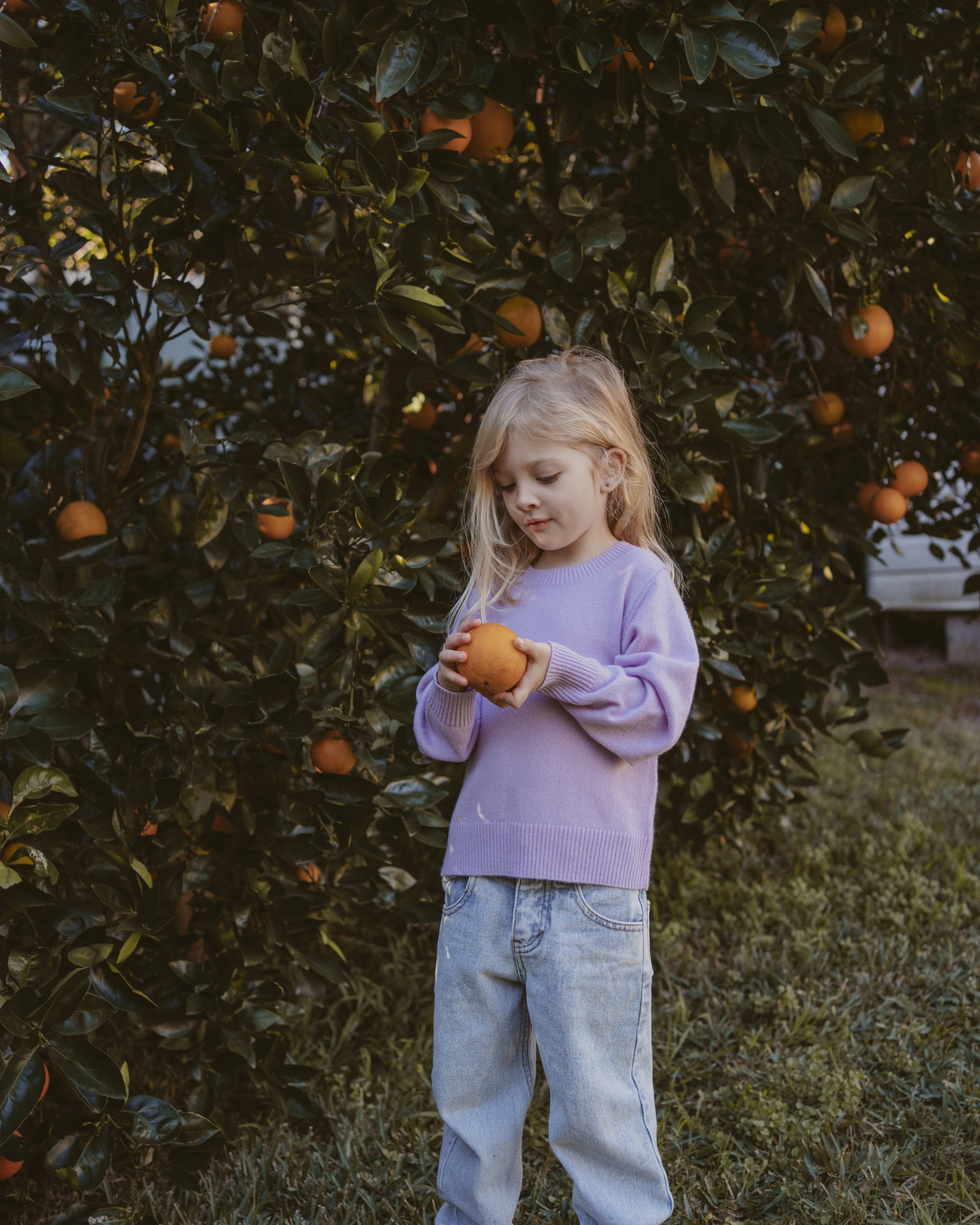 cashmere_kids_sweater_lavender_4